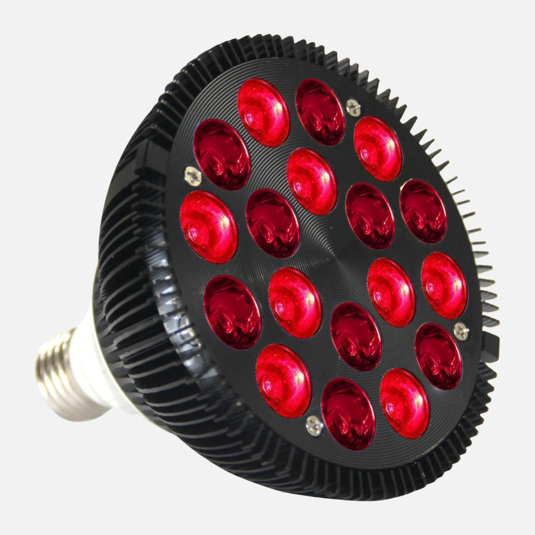 Vital Glow Bulb
