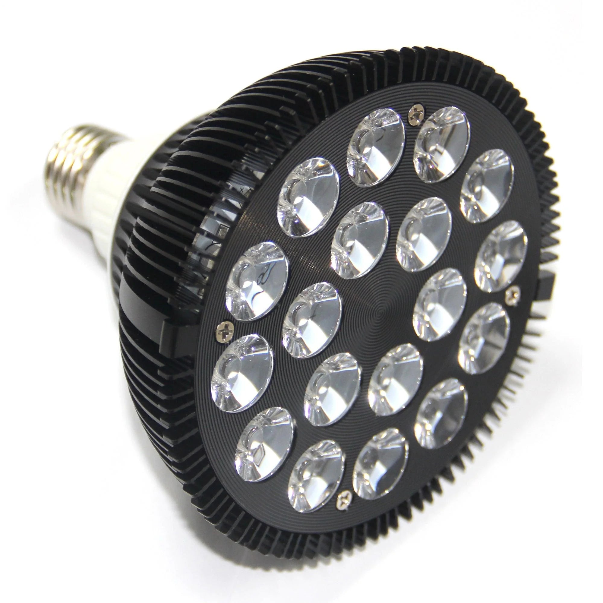 Vital Glow Bulb