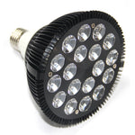 Vital Glow Bulb
