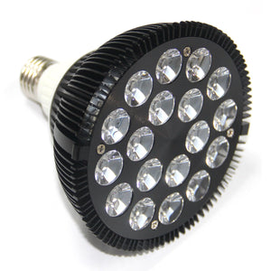 Vital Glow Bulb