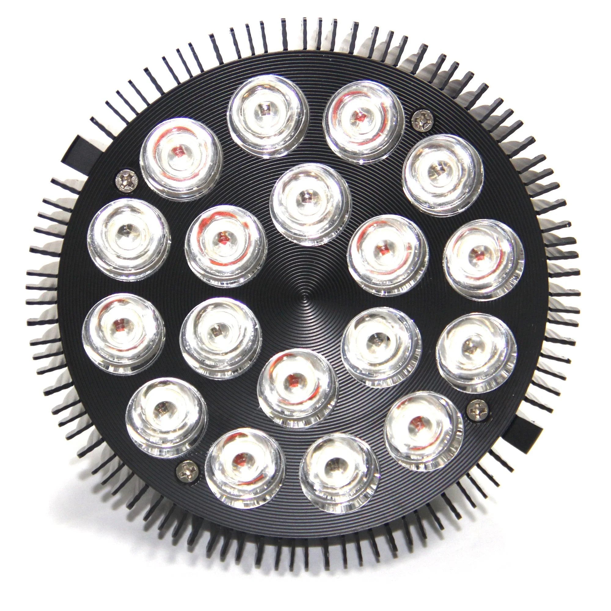 Vital Glow Bulb