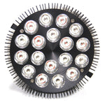 Vital Glow Bulb