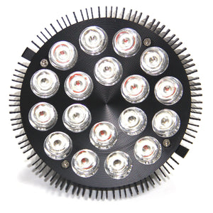 Vital Glow Bulb